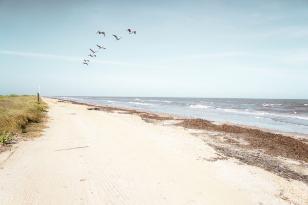 A narrow unpaved road continues along a beach in High Island, TX.