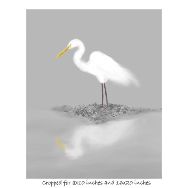 A beautiful great egret was standing still in the middle of wetland. This is the original artwork by Ellie Teramoto, digitally designed and painted based on a photograph that she took at Brazos Bend State Park near Houston, Texas.